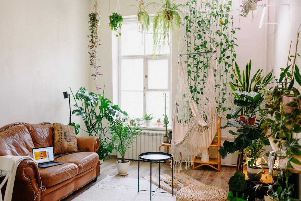 10 Budget-Friendly Home Decor Ideas to Transform Your Space